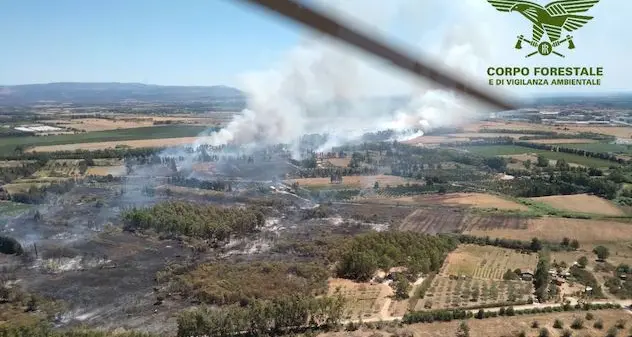 Sessanta ettari in fumo a Tottubella, case evacuate