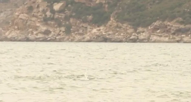 Effetto Farfalla: a Porto Ferro il progetto per la tutela del mare
