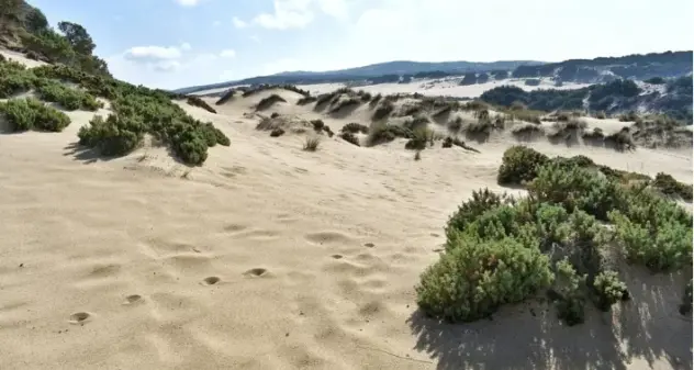 Sesso tra le dune sulla spiaggia di Piscinas ad Arbus