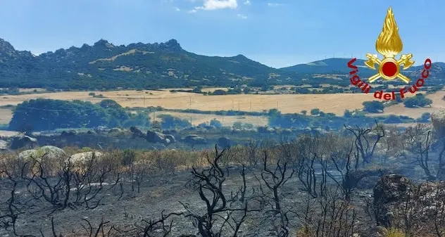 Canadair ed elicotteri per spegnere un incendio ad Aggius