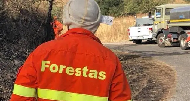 Vasto rogo a Nughedu S.Nicolò, la rabbia del sindaco: \"Fatalità? coincidenza? sfortuna? No, questa è una guerra\"
