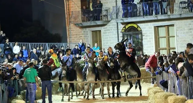 Ollolai: asinelli ai posti di partenza, sta per partire la festa