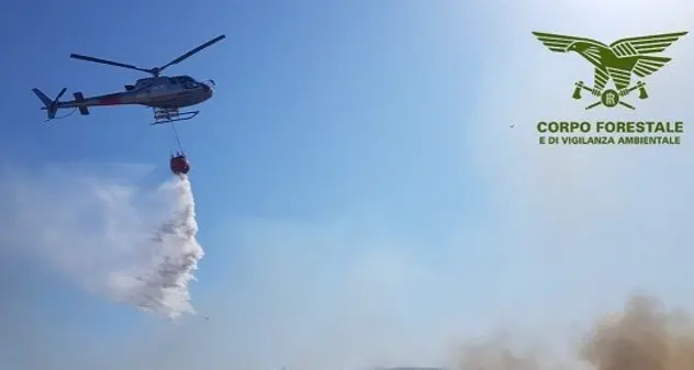 Incendio a Sennori, 3 case e un campo estivo per bimbi evacuati