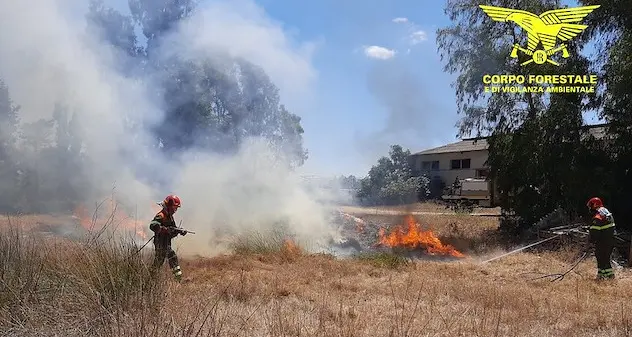Provocò incendio con smerigliatrice, denunciato dalla Forestale