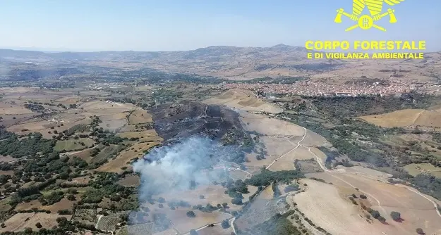 Incendio Ploaghe. Sotgiu: “Ogni giorno la piaga degli incendi consuma una porzione della nostra isola”