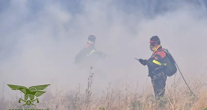 Incendi in Sardegna. Fiamme a Bono e Monti