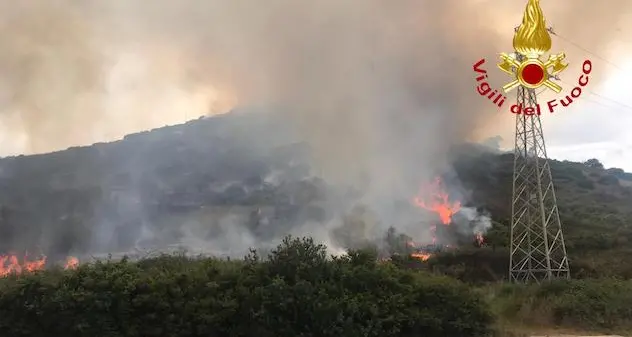 Incendio a Siniscola: in fumo macchia mediterranea