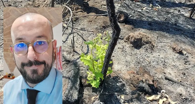 Terrore incendi. Le parole durissime del sindaco di Scano Montiferro