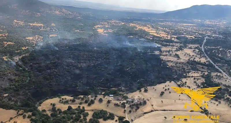 Ventidue gli incendi divampati oggi in Sardegna