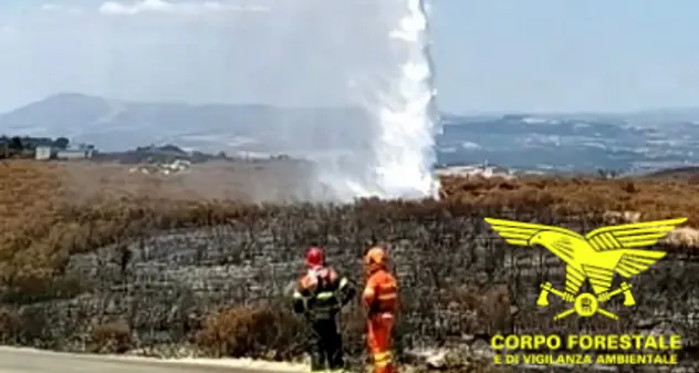 Oggi 17 incendi in Sardegna, in azione gli elicotteri del Corpo Forestale