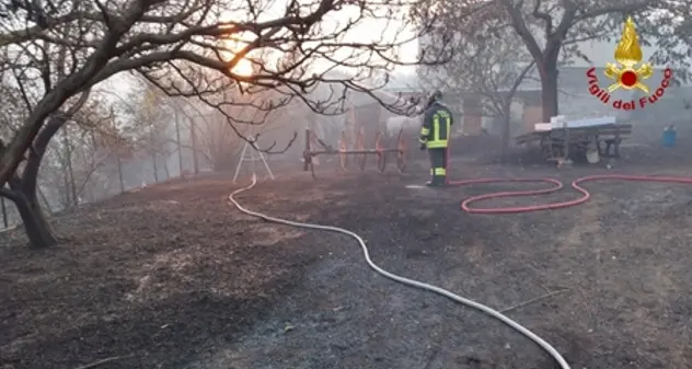 Incendi, muore una volontaria schiacciata da un albero carbonizzato in Friuli