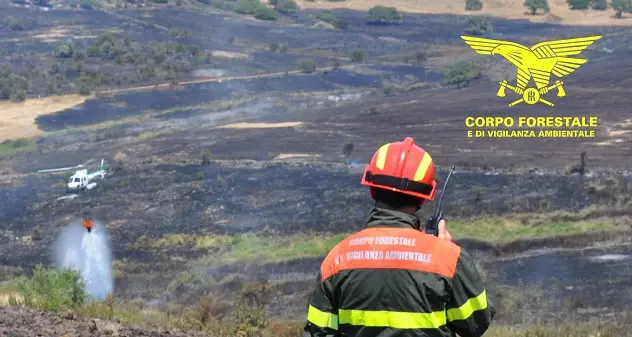 Incendi a Villacidro, Perdasdefogu, Ittiri e Sarule: sul posto i mezzi aerei della Forestale