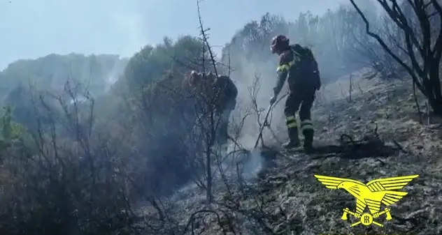 Incendi a Loiri Porto San Paolo e Maracalagonis, sul posto i mezzi aerei della Forestale