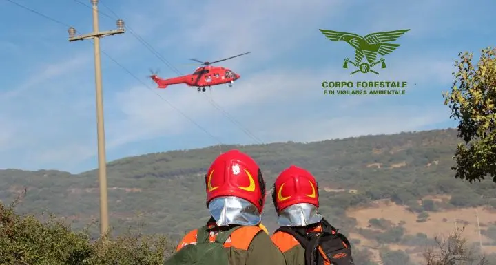 Fiamme nelle campagne di Abbasanta, in azione due elicotteri della Forestale