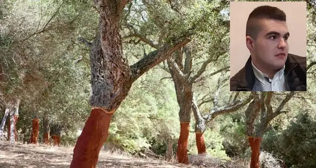 Operaio 18enne di Alà si colpisce con l’accetta e muore in un cantiere forestale