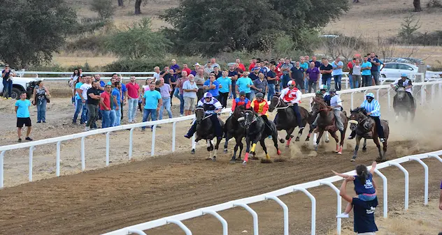 Speciale Palio. I nomi dei fantini in gara per il “7°Palu Sas Carrelas de Bono”