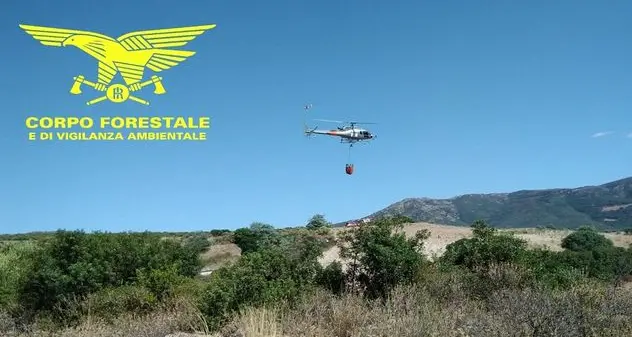 Incendio in agro di Loiri Porto San Paolo, elicottero della Forestale in azione