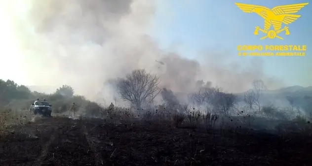 Ancora una giornata da bollino rosso: 8 gli incendi in Sardegna