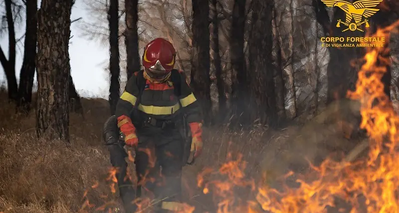 Domenica di fuoco: incendi a San Nicolò d'Arcidano, Galtellì, Maracalagonis, Serrenti e Olbia