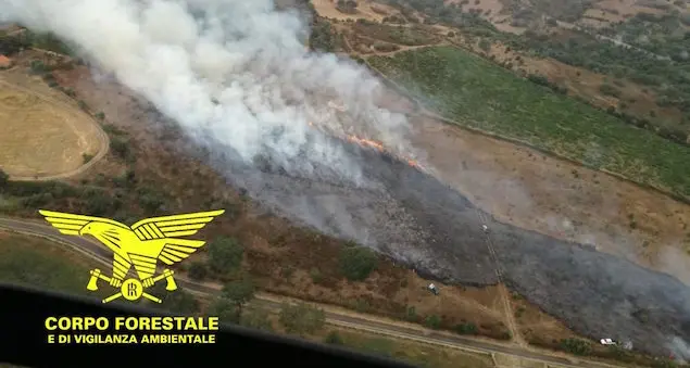 Incendi a Calangianus e Berchidda, in azione la Forestale