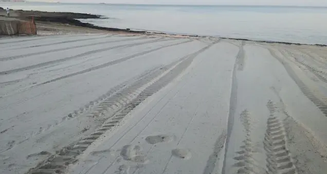 Cuguttu: rimessa a nuovo la spiaggia per cani