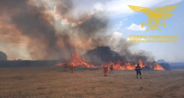 Oggi 11 roghi in Sardegna, a Bolotana necessari anche i mezzi aerei del Corpo Forestale