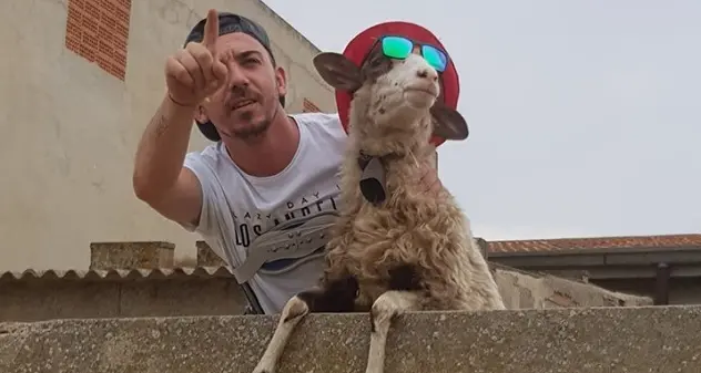 Andrea Rosas e la pecora Filomena, la foto spopola sul web