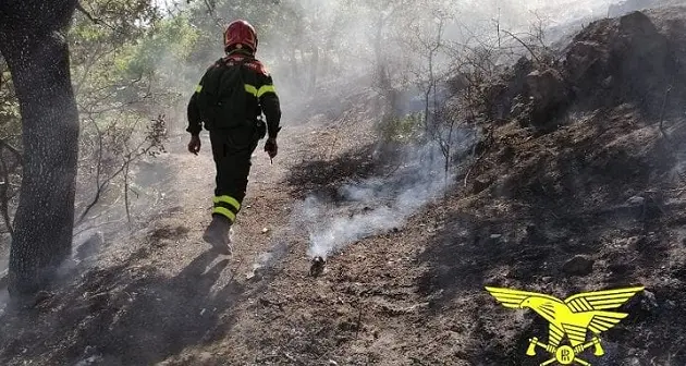 Incendi a Luras, Berchidda e Sarule: mezzi aerei della Forestale in azione