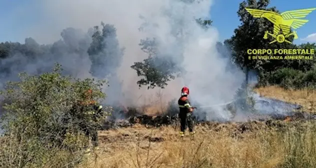 Sedici incendi oggi in Sardegna