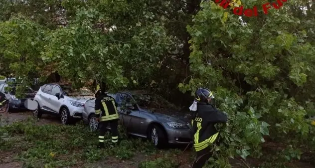 Alberi caduti sulle auto e un palo divelto che ha bloccato la strada, intervengono i Vigili del Fuoco