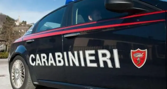 Carbonia. Chiude il cane in auto sotto il sole e fa la spesa, denunciata