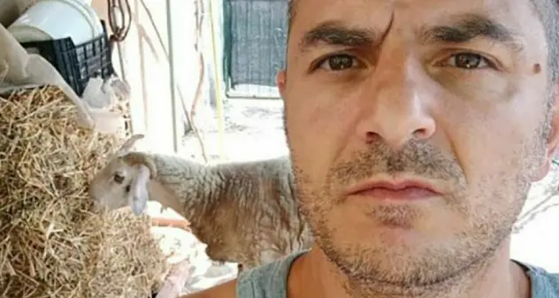 Panettiere brutalmente ucciso da moglie e figli, di cui uno 15enne: choc nel Salernitano