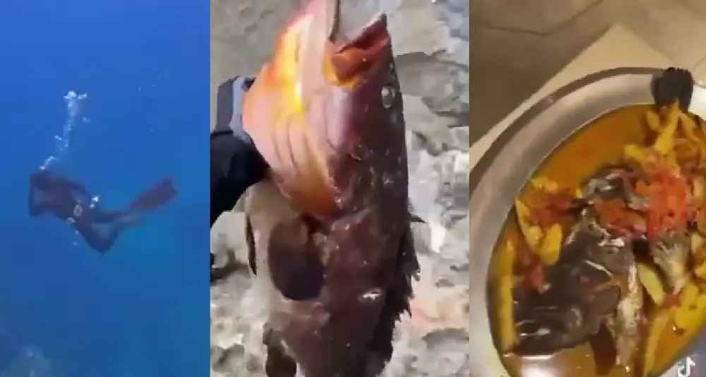 Tiktoker pesca in Area marina protetta ad Alghero e vende il pesce a un ristorante: è polemica