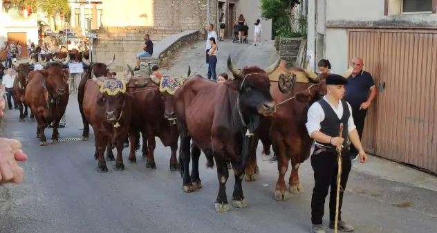 Scano di Montiferro. Grande successo per la 7^ edizione di “Juos”: i gioghi dei buoi della Sardegna