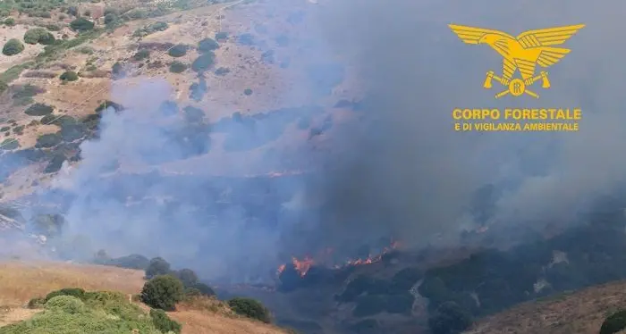 Incendio a Sindia, domate le fiamme