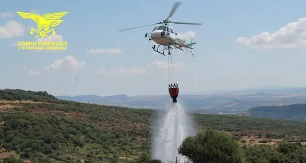 Fiamme a Villanovafranca, in azione un elicottero della Forestale