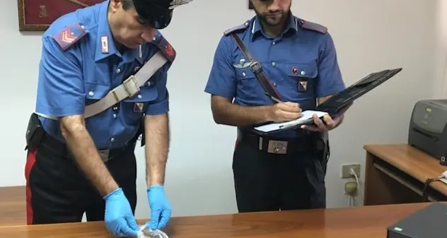 Trovata marijuana in una busta appesa a un albero: indagini dei Carabinieri per risalire al proprietario