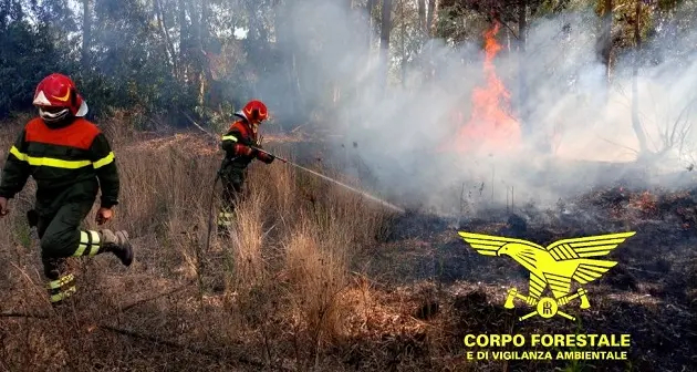 Fiamme a Sindia, sul posto la Forestale