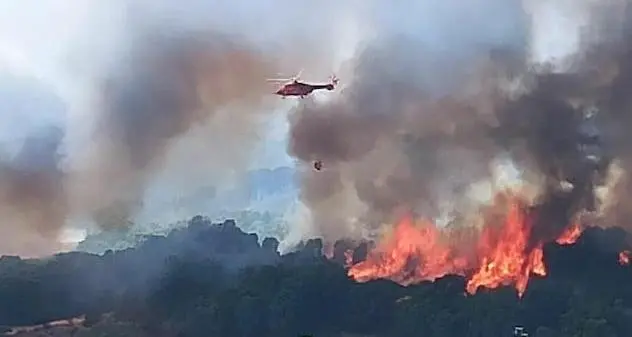 Incendi nel Montiferru, Solinas: “Entro un mese i contributi alle aziende”