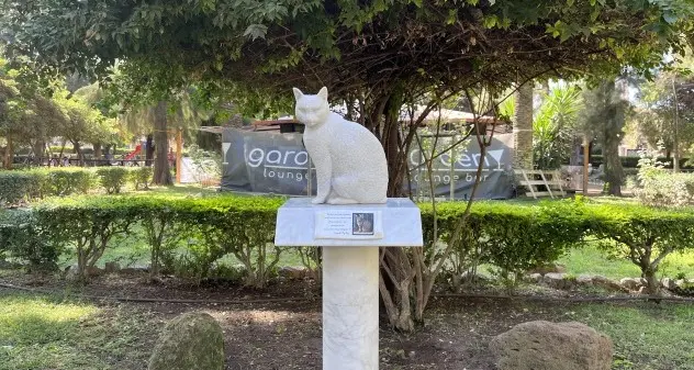 Iglesias. Una statua per ricordare Dondi, il gatto amico di tutti investito e ucciso