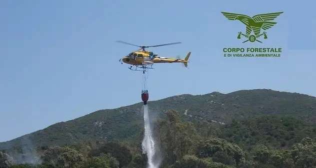 Sindia, fiamme in località Ponte Ziera. Forestale sul posto