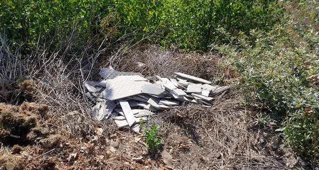 “Caddozzi” in azione anche a Tergu. Il Comune: “Situazione intollerabile”