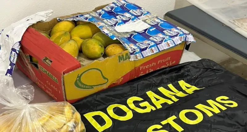 Alghero. Frutta esotica nel bagaglio: sequestro di mango all’aeroporto