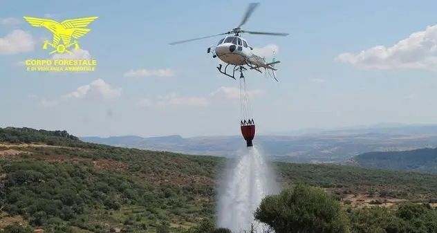 Fiamme nelle campagne di Nuraminis, in azione un elicottero della Forestale