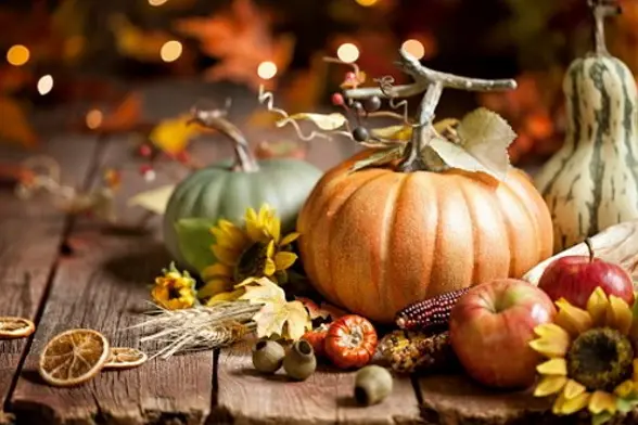 Autumn Pumpkin Background