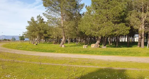 Norbello. La scuola secondaria abbraccia lo sport: lunedì l'inaugurazione del nuovo indirizzo