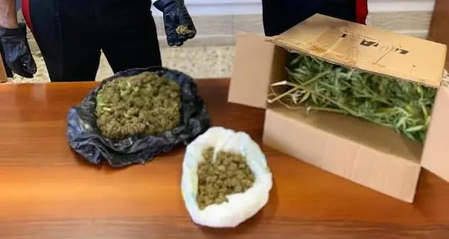 In camera da letto oltre 600 grammi di marijuana: arrestata una casalinga