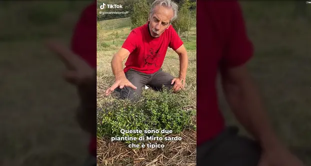 Giovanni Storti presenta le sue bacche di mirto: \"Maddaghella, Sassato, Tucupupunniru\"