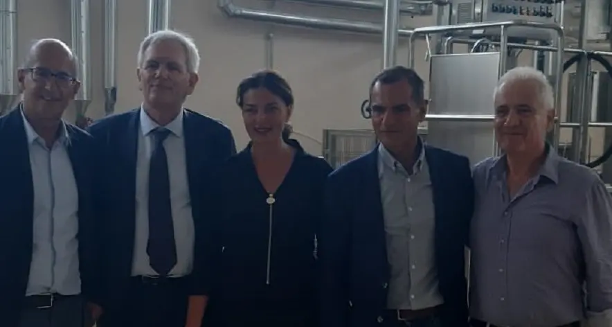 Comparto lattiero caseario. Gabriella Murgia: “Puntare sull’innovazione”
