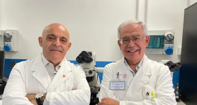 Più verdure e il giusto apporto di carni per prevenire tumori, ma anche l’artrite reumatoide e l’aterosclerosi